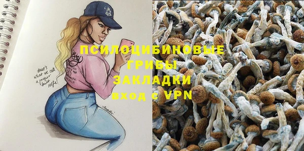 прущая мука Верея