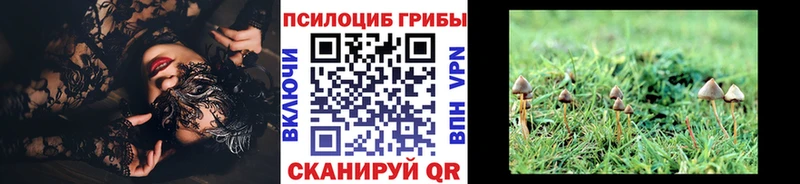 Галлюциногенные грибы мицелий  Волгореченск 